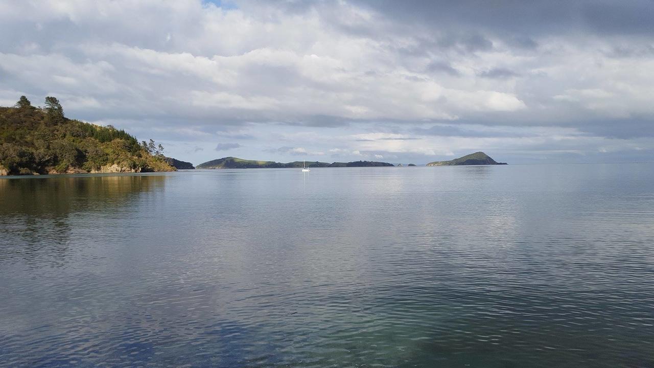 Готель Long Bay Motor Camp Coromandel Екстер'єр фото